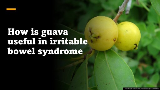 How is guava useful in irritable bowel syndrome