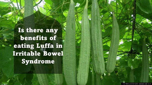 Is there any benefits of eating Luffa in IBS