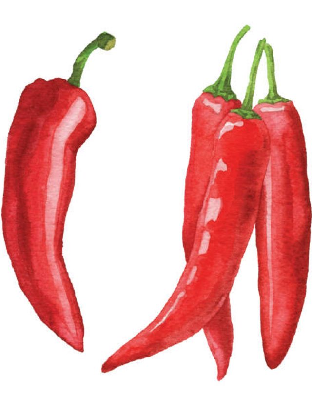 Red pepper black pepper & Irritable Bowel Syndrome (IBS)