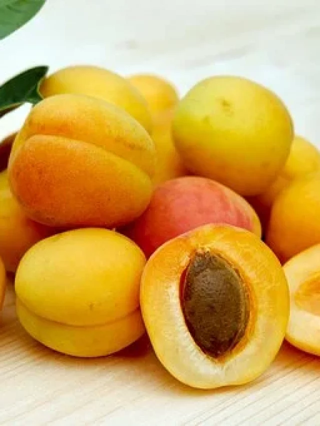 Apricot in IBS