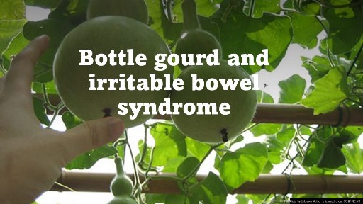 Bottle gourd and irritable bowel syndrome