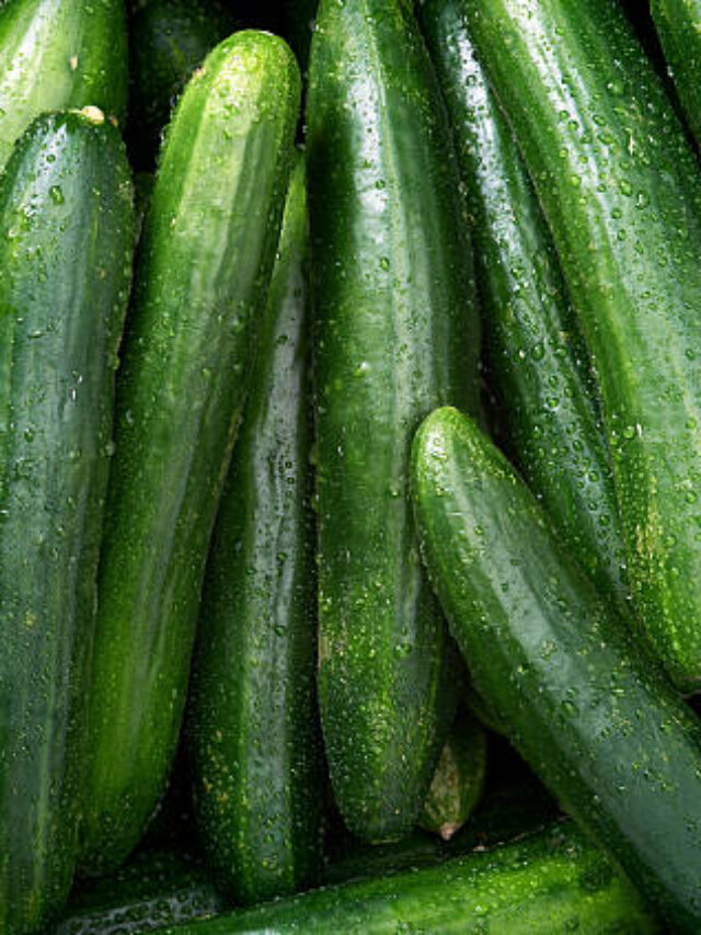 Eating cucumber in Irritable Bowel Syndrome is good?